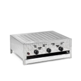 Gasgrill 11kW mit Rost